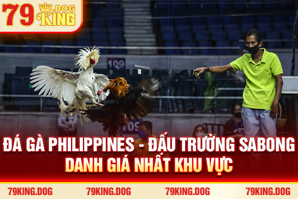 Đá Gà Philippines - Đấu Trường Sabong Danh Giá #1 Khu Vực