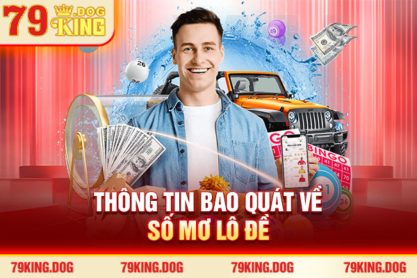 Thông tin bao quát về sổ mơ lô đề
