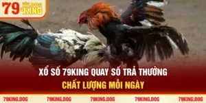 Xổ Số 79king | Quay Số Trả Thưởng Chất Lượng Mỗi Ngày